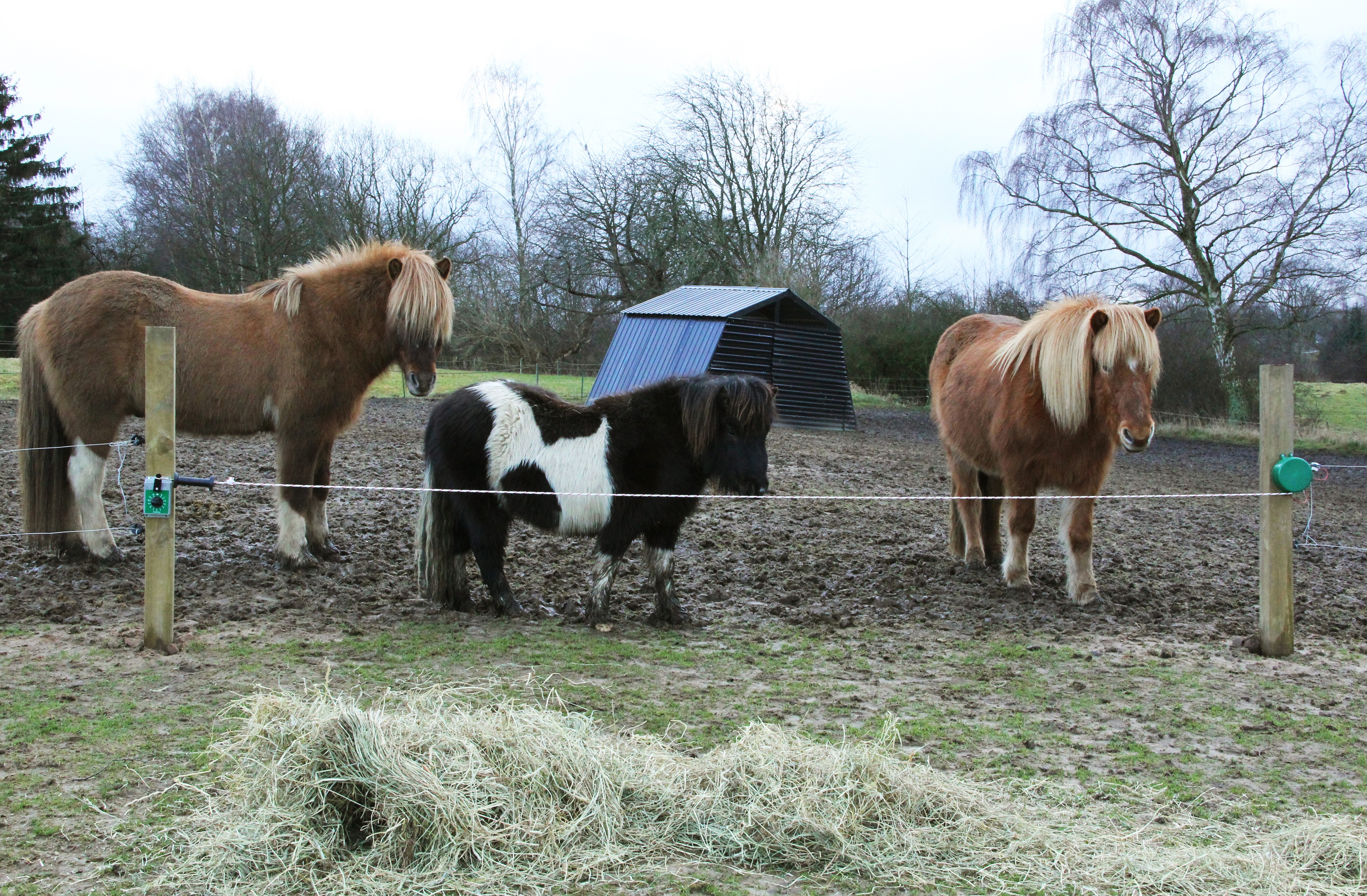 Jordfold FeedEasy timer